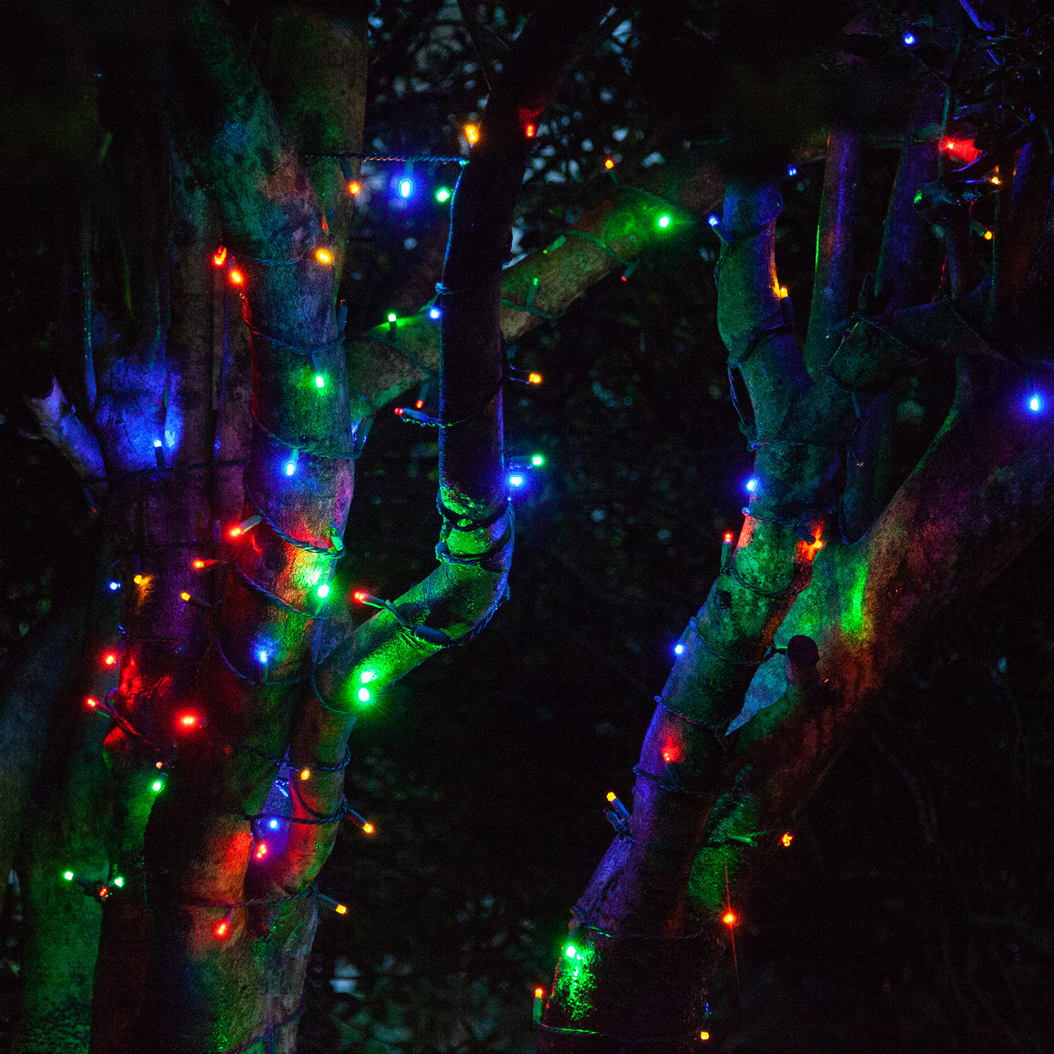 17' LED Twinkle String Lights, Multicolor