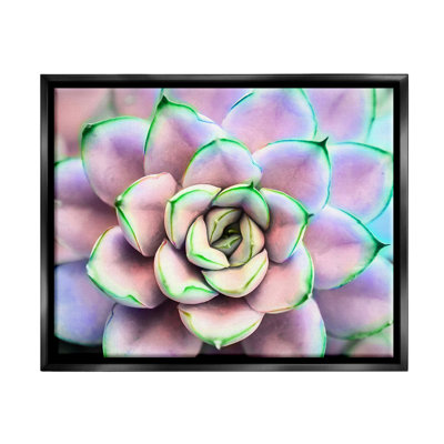 "Dakota Fields" mauve et vert, "Succulent Petals", art mural encadré par Jessica Manelis