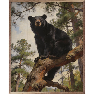 Black Bear In The Pines