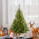 Spruce Christmas Tree