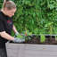 Cardea Wood Raised Bed