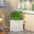 Exquisite Concrete Planter For Gardening Enthusiasts, Adding Elegance And Style To Your Home