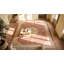 Tapis Aubusson unique en son genre