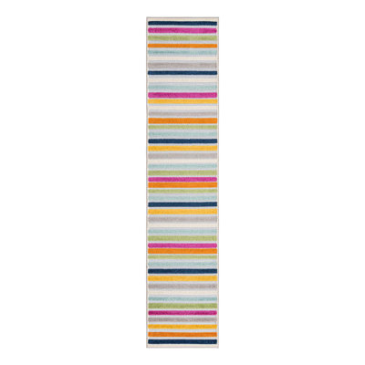 Striped Indoor / Outdoor Rug