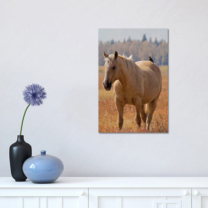 Hitching A Ride I by Susan Vizvary - Wrapped Canvas Print, 30.48 cm H x 45.72 cm W