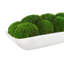 Moss Preserved in Oblong Planter-2127157689