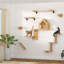Étagères murales pour chat, poteau à griffer pour chat transformable 3 en 1, bricolage, chaton, fournitures de plateforme pour jungle, perchoir, combinaison pour grimper, jouer, sieste, gratter