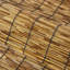 Décoration de jardin Reed-123107325