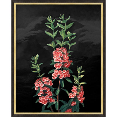 Poetic Botanicals 5 par Lillian August - reproduction d'un seul cadre