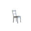 Ensemble de 2 chaises d'appoint House Gray
