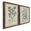 Antique botanique noir et blanc antique - ensemble de 2 reproductions d'art-672527112-672527107-686387518