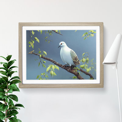 Luscious Dove Bird - Single Picture Frame Print