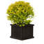 Boîte à fleurs en bois Barros-714229204