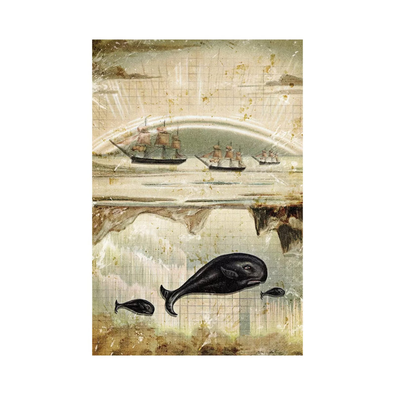 Paper Whale by Heather Landis - Wrapped Canvas Print, 66.04 cm H x 45.72 cm W x 1.91 cm D