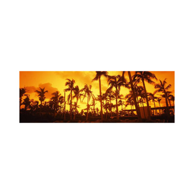 Palm Trees on the Beach, the Setai Hotel 1 Piece Wrapped Canvas Panoramic Wall Art