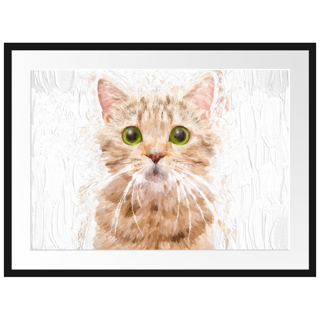 Gerahmtes Poster Katze Scottish Straight