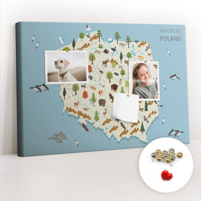 Mainhia Cork Corkboard / Bulletin Board