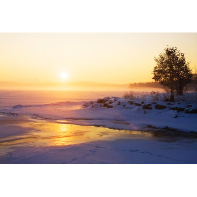 " Misty Winter Sunrise " by Uwmadison