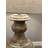 Fodor Cream Beige Coastal Bedside Lamp  (Set of 2)
