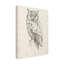 « hibou portrait ii », reproduction de dessin sur toile tendue-312368818