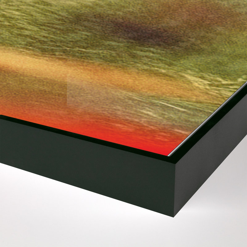 Prairie II Print by Coup D'Esprit, 30" H x 40" W x 2" D, Black