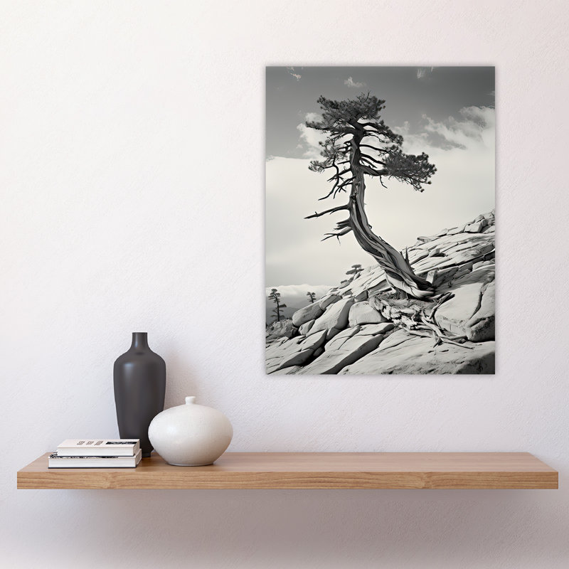 Wall Art Print Jeffrey Pine Tree Sentinel Dome Poster Picture