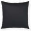 Schumacher x Clements Ribeiro Fernarium Pillow