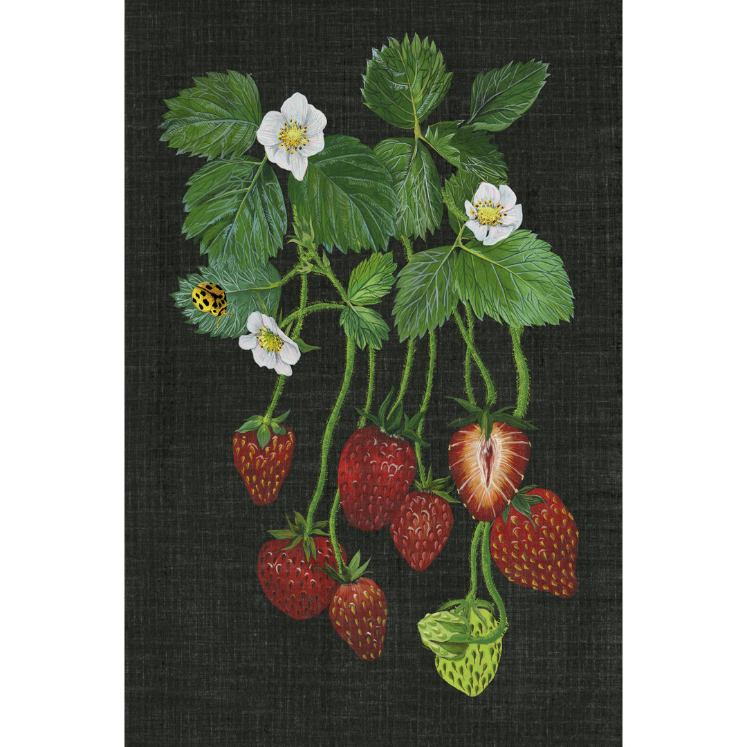 Leinwandbild Strawberry Fields II