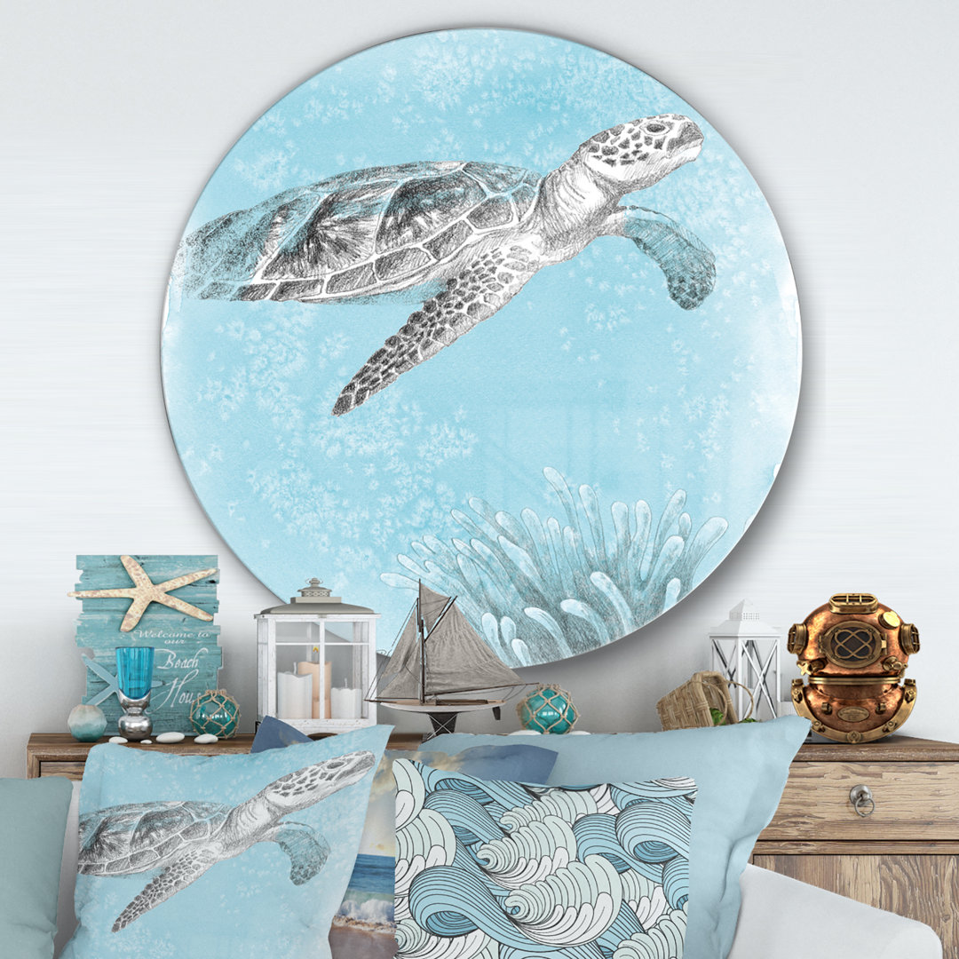 Coastal Sea Life I Turtle Sketches - Painting Print Metal Circle Wall Art East Urban Home 