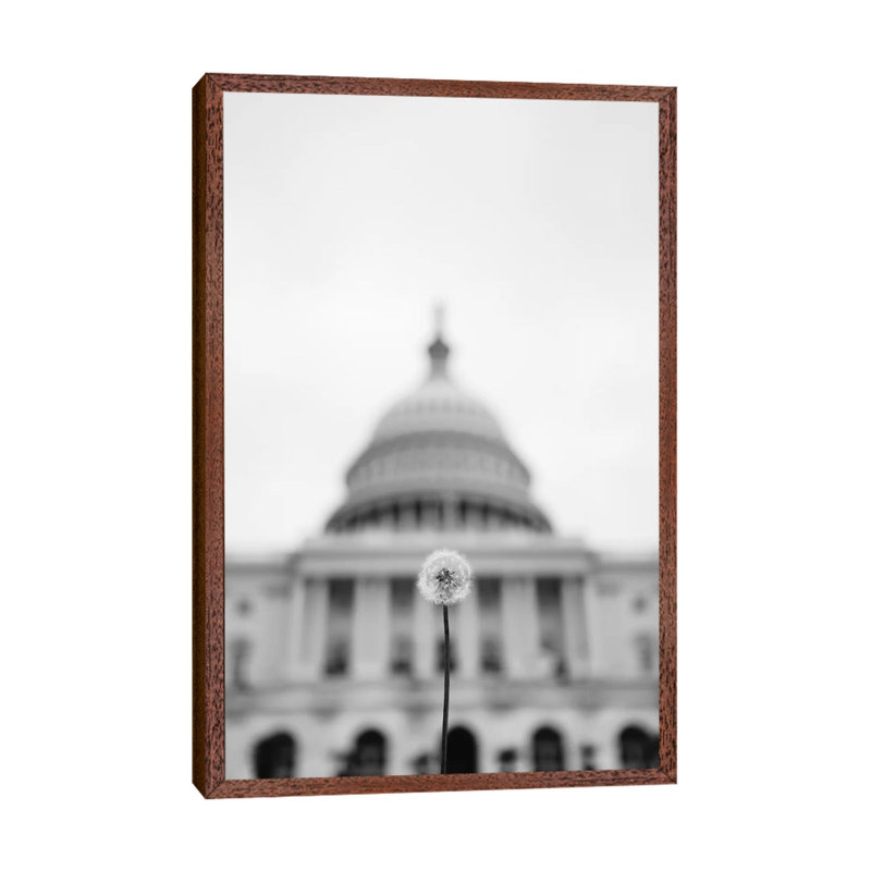 American Wishes by Bethany Young - Print on Canvas, 66.04cm H x 45.72cm W x 3.81cm D, Classic Brown Wood Framed
