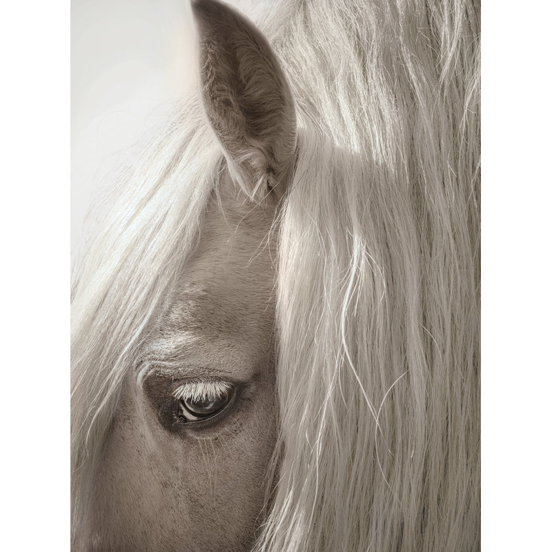 Horse Portrait 2 Print by Nathan Turner