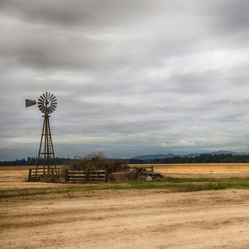 «Rustic Windmill in Open Field», art mural sur toile tendue, H 30 po x l 30 po