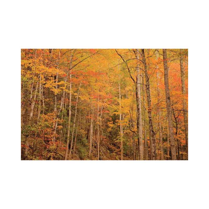USA, Tennessee. Fall Foliage Along The Little River In The Smoky Mountains. by Joanne Wells - Wrapped Canvas Print