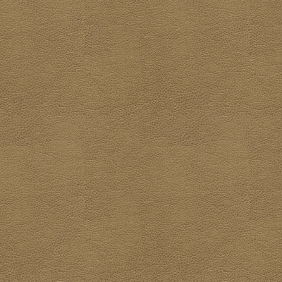Contract Fabric