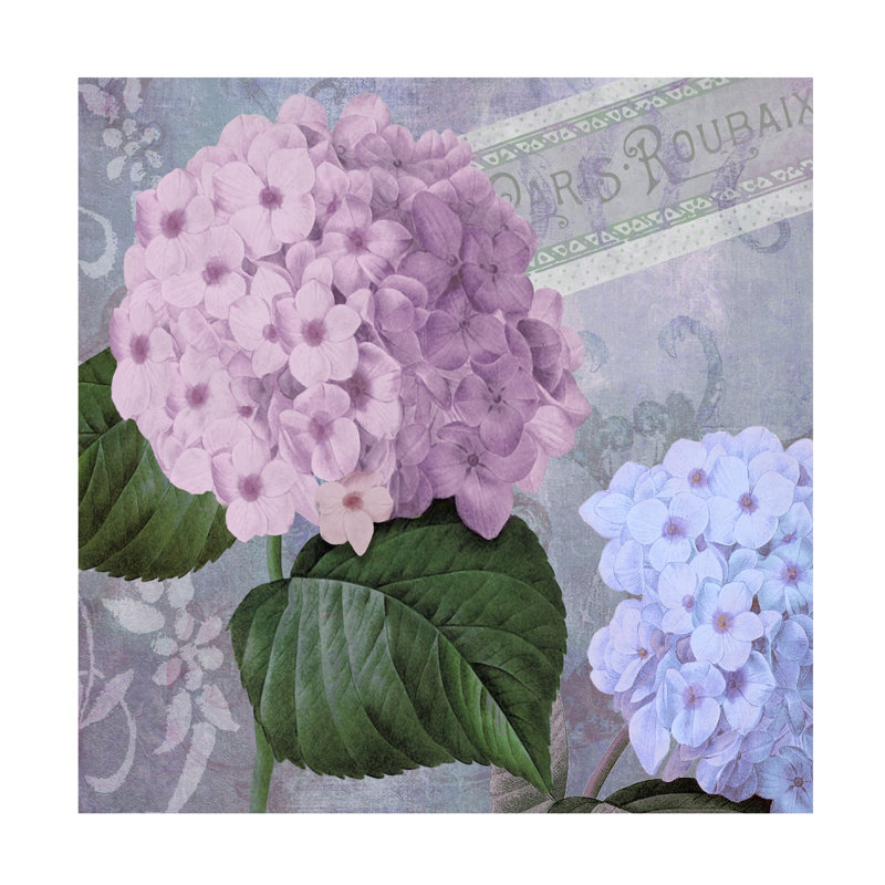 Art sur toile «Bachelor Sasha Hortensia 2 »_ALI73306, 18" H x 18" W