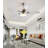 Malicai Ceiling Fan with LED Lights-733493114