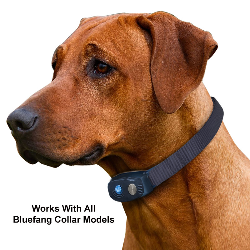 Bluefang Smartphone Controlled 5-in-1 Training Dog Collar Replacement Battery
