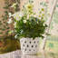 Aria Ceramic Planter