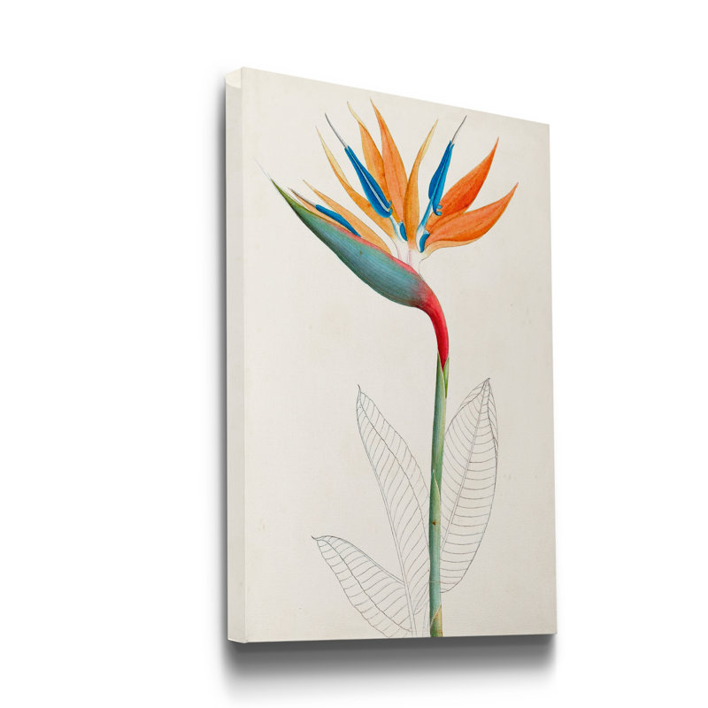 Reproduction d’art sur toile tendue « Botanical of the tropiques IV », H 27 po x l 18 po x P 1 po