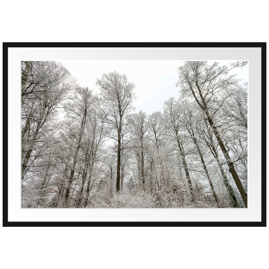 Gerahmtes Poster Verschneiter Wald