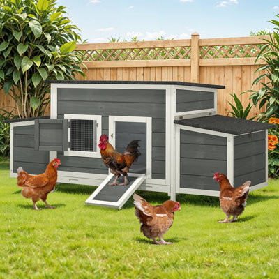 Poulailler 11,50 pieds carrés avec nichoir Frenel pouvant accueillir jusqu'à 4 poulets