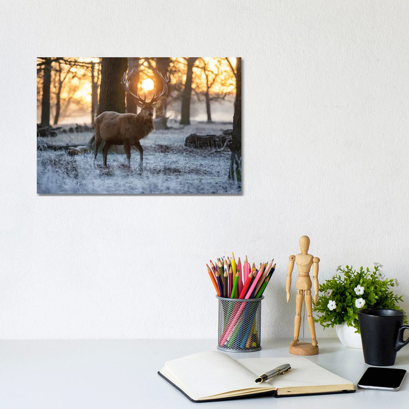 Winterland by Max Ellis - Wrapped Canvas Gallery-Wrapped Canvas Giclée, 20.32 cm H x 30.48 cm W