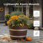 Jardinière Winon-683372892-683372895