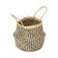 17 Stories Feddalat Wicker Box-24855421-24855425