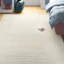 Tapis ivoire / blanc cassé Calvo-697171567