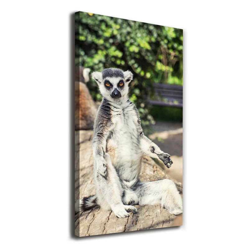 Lemur - Wrapped Canvas Print