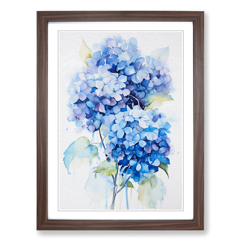 Hydrangea Gestural No.2 - Framed Print, Walnut, 64cm H x 46cm W x 2cm D