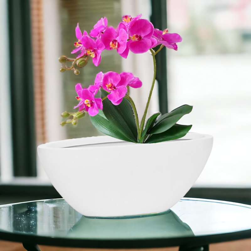 Marling Handmade Pot Planter, White, 5" H x 13" W x 6" D