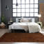 Indoor Rug-86184006