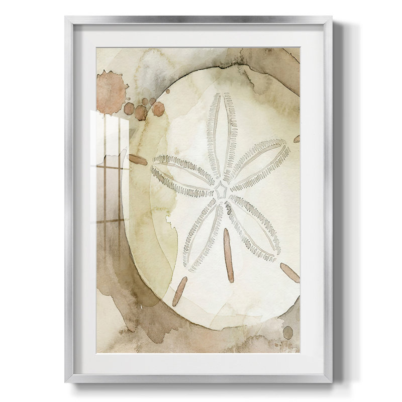 Dry Sand Dollar II - impression encadrée, Argent argent, H 28,5 po x l 20,5 po